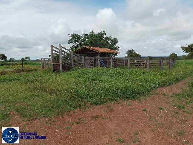 #3879 - Fazenda para Venda em Figueirópolis - TO