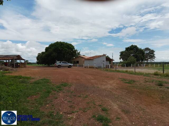 Fazenda para Venda em Figueirópolis - 4