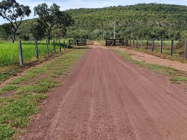 #3149 - Fazenda para Venda em Recursolândia - TO