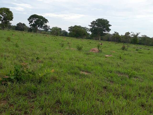 Venda em zona rural - Pontal do Araguaia