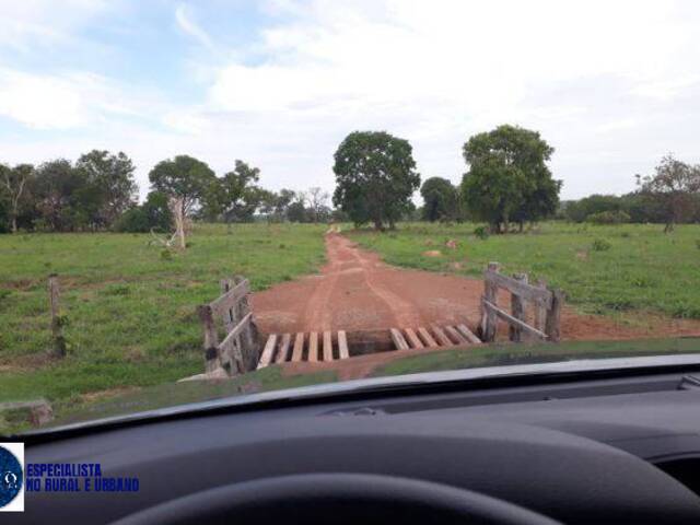 #3885 - Fazenda para Venda em Pontal do Araguaia - MT