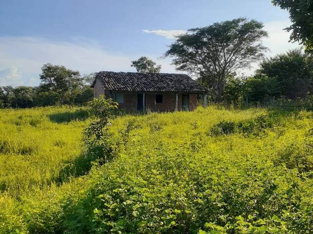 #3892 - Fazenda para Venda em Taipas do Tocantins - TO