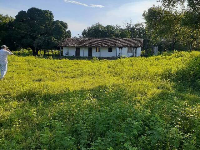 #3892 - Fazenda para Venda em Taipas do Tocantins - TO