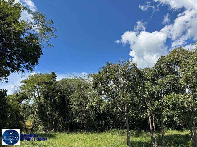 Chácara para Venda em Nerópolis - 4