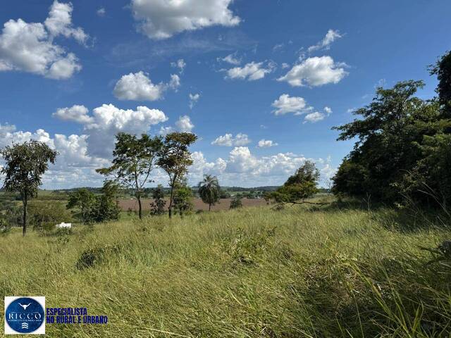 #3894 - Chácara para Venda em Nerópolis - GO