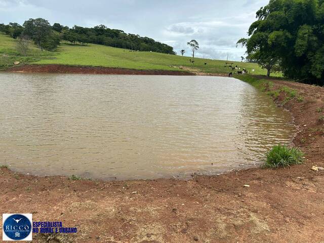 #3899 - Chácara para Venda em Araçu - GO