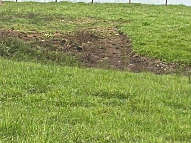 Chácara para Venda em Araçu - 4