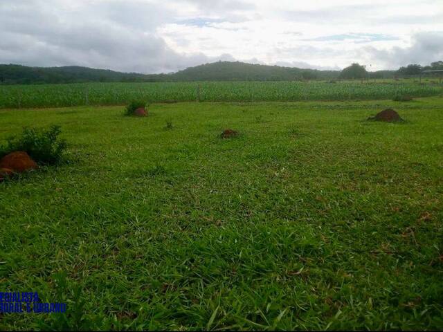 #3901 - Chácara para Venda em Campestre de Goiás - GO