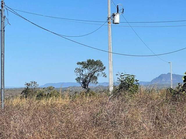 #3902 - Fazenda para Venda em Paranã - TO