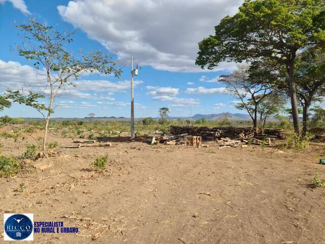 Fazenda para Venda em Paranã - 5
