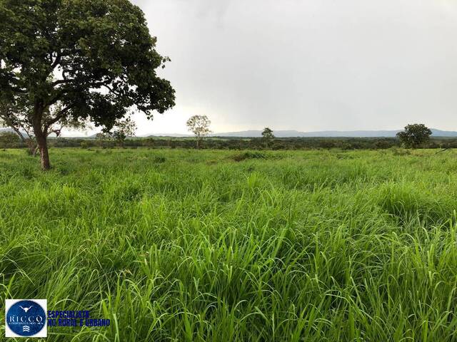 #3902 - Fazenda para Venda em Paranã - TO