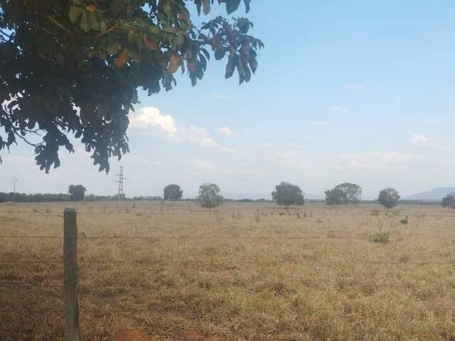 #3904 - Fazenda para Venda em Bom Jardim de Goiás - GO