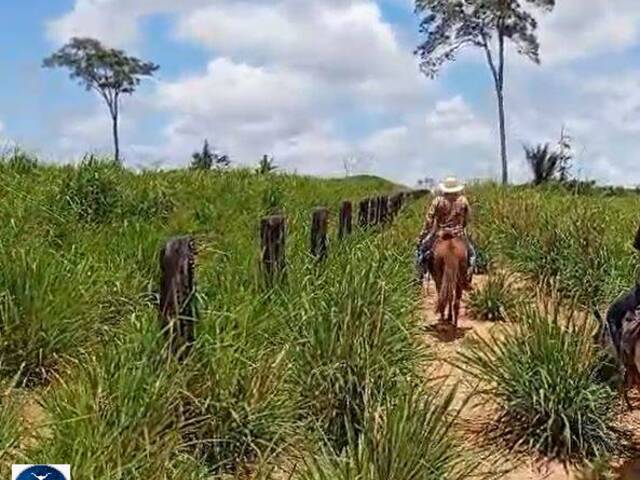 #3913 - Fazenda para Venda em Alto Alegre - RR