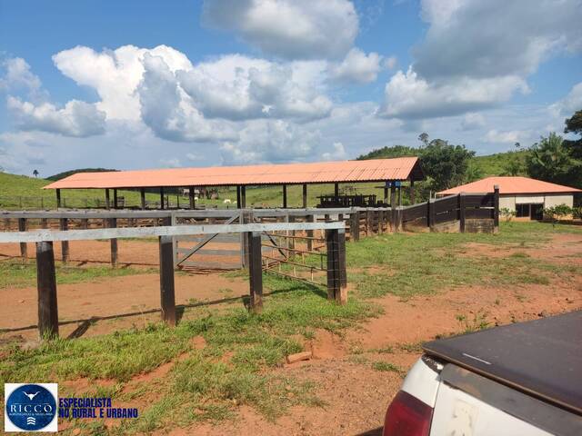 Fazenda para Venda em Alto Alegre - 5