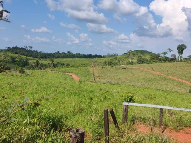 #3913 - Fazenda para Venda em Alto Alegre - RR