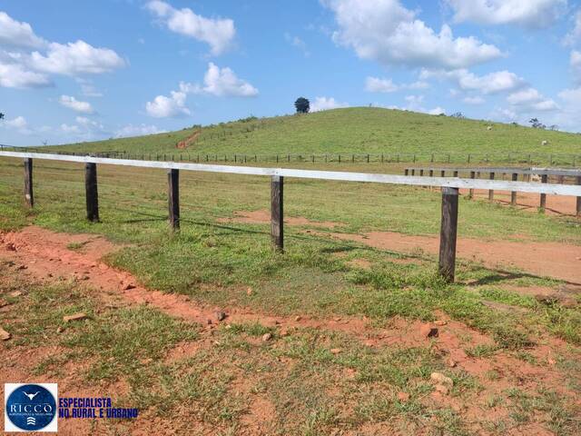 #3913 - Fazenda para Venda em Alto Alegre - RR