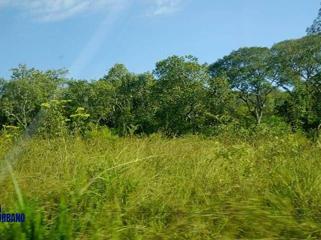 #3915 - Fazenda para Venda em Formoso do Araguaia - TO