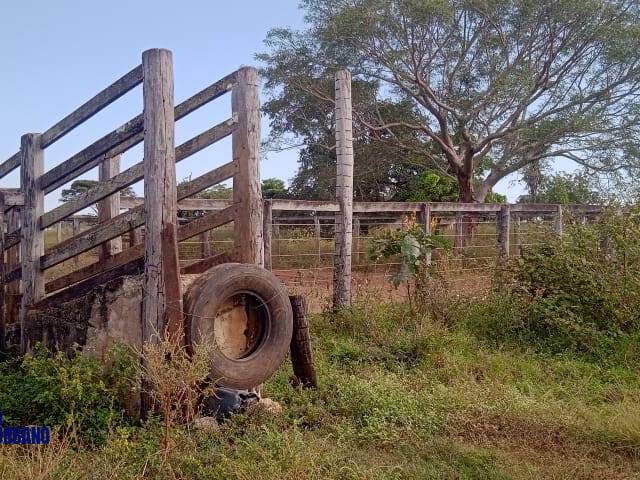 #3915 - Fazenda para Venda em Formoso do Araguaia - TO