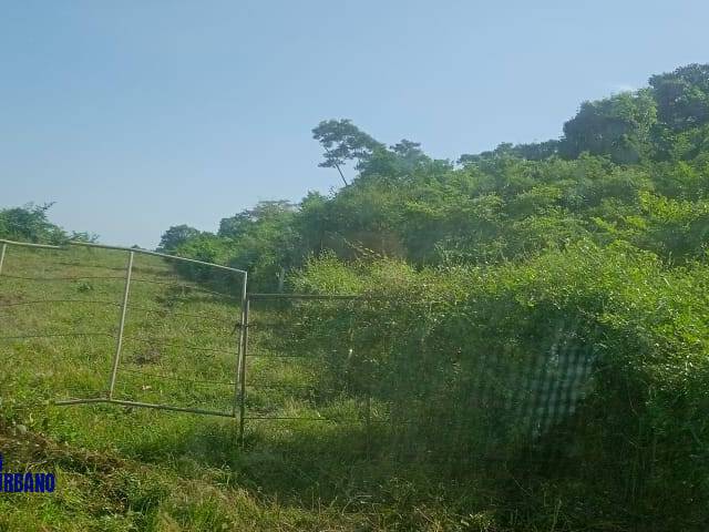 #3915 - Fazenda para Venda em Formoso do Araguaia - TO