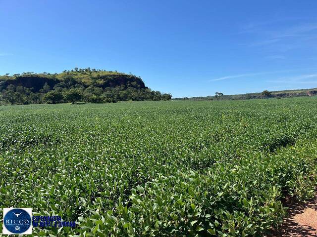 #3917 - Fazenda para Venda em Novo Acordo - TO