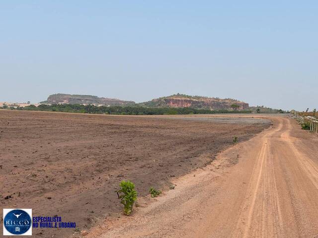 #3917 - Fazenda para Venda em Novo Acordo - TO