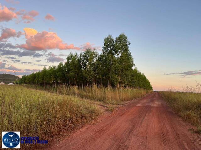 #3918 - Fazenda para Venda em Ponte Alta do Tocantins - TO