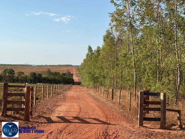 #3918 - Fazenda para Venda em Ponte Alta do Tocantins - TO
