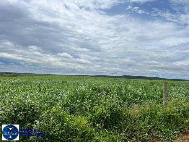 #3918 - Fazenda para Venda em Ponte Alta do Tocantins - TO
