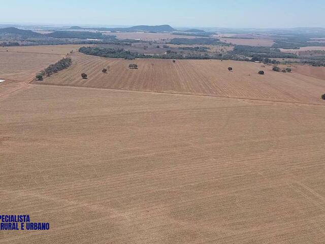Fazenda para Venda em Piracanjuba - 5