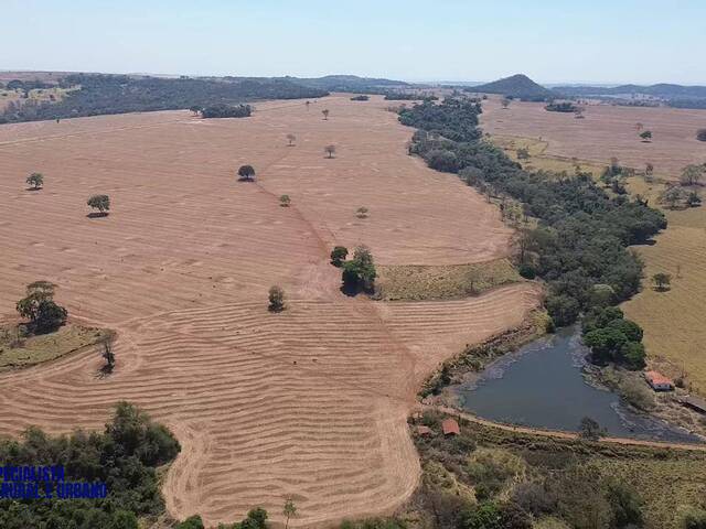 #3919 - Fazenda para Venda em Piracanjuba - GO