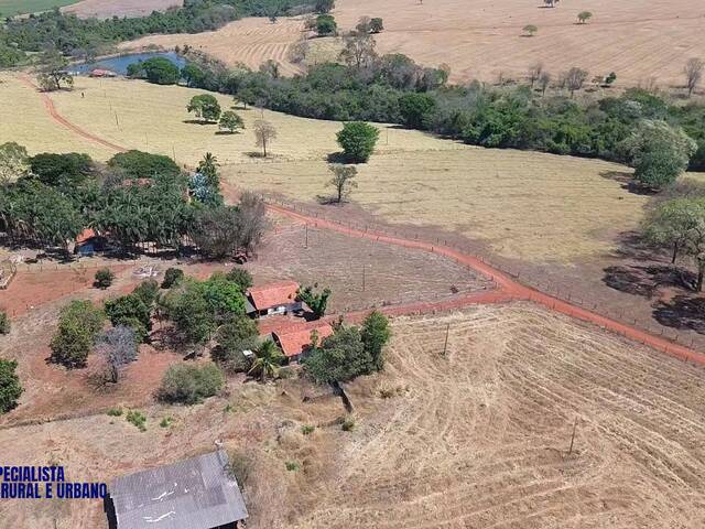 Venda em Centro - Piracanjuba