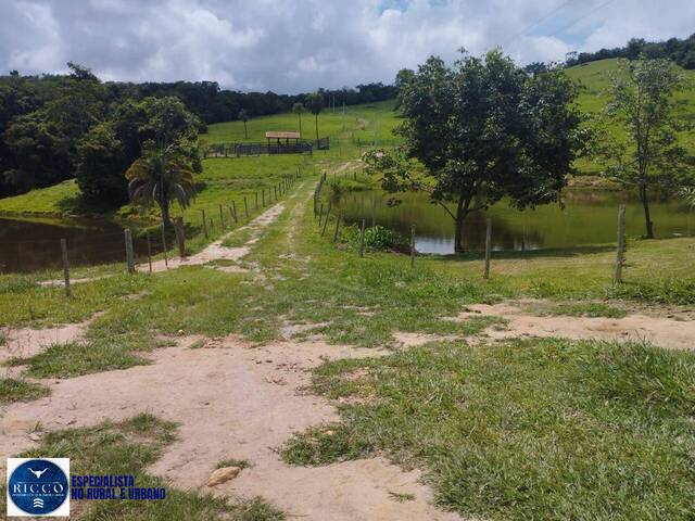 #3925 - Sítio para Venda em Itaberaí - GO