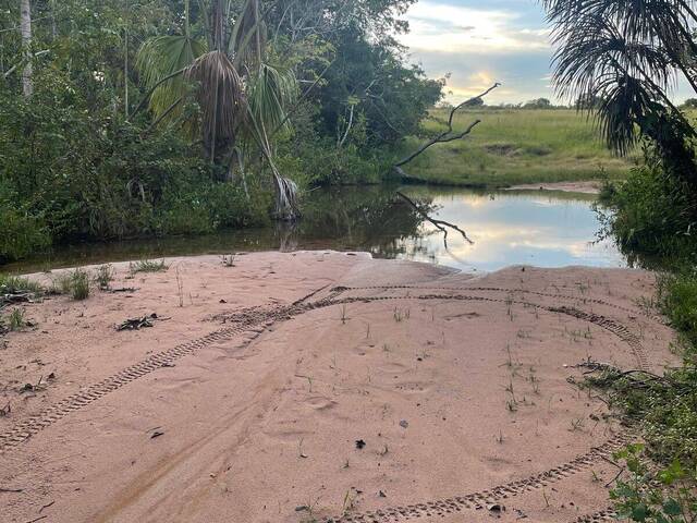 #3927 - Fazenda para Venda em Montes Claros de Goiás - GO