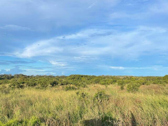 Fazenda para Venda em Montes Claros de Goiás - 4