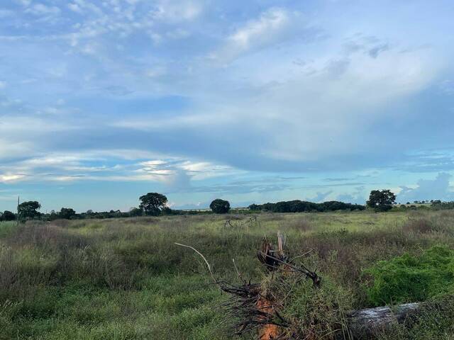 Fazenda para Venda em Montes Claros de Goiás - 5