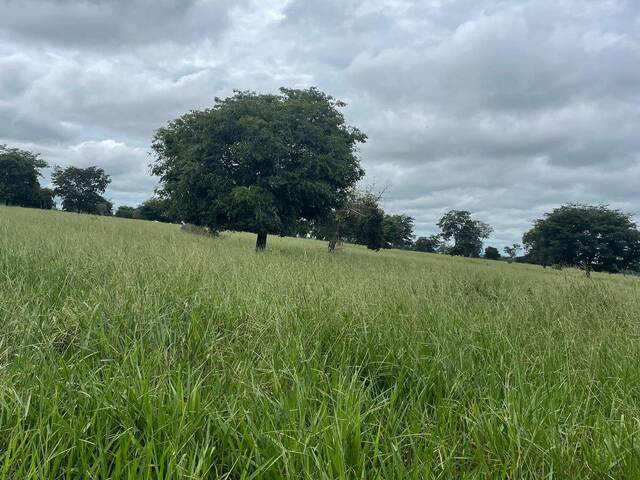 #3927 - Fazenda para Venda em Montes Claros de Goiás - GO