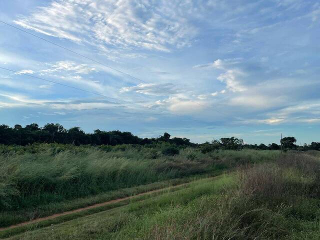 #3927 - Fazenda para Venda em Montes Claros de Goiás - GO