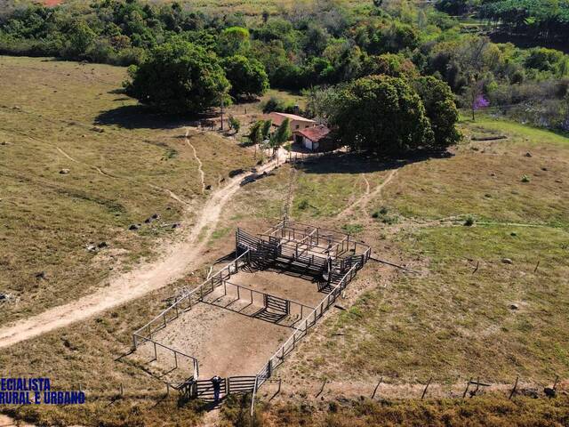 #3928 - Chácara para Venda em Taquaral de Goiás - GO