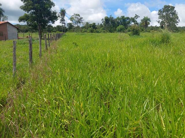 #3930 - Fazenda para Venda em Palmeiras de Goiás - GO