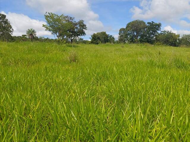 #3930 - Fazenda para Venda em Palmeiras de Goiás - GO