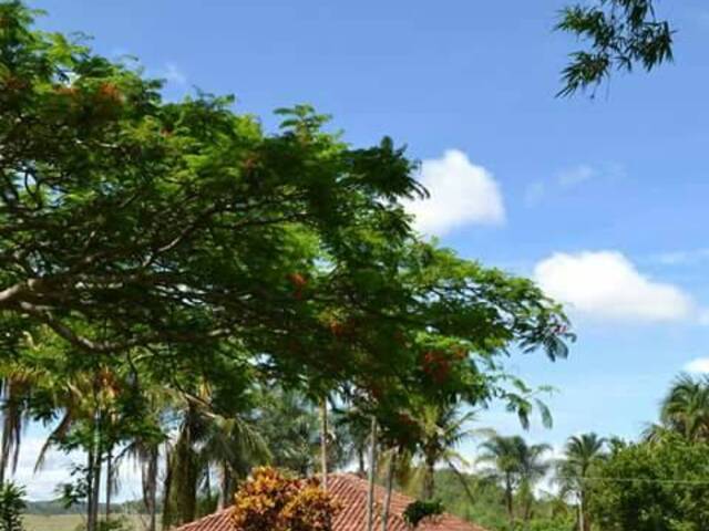 Fazenda para Venda em Bom Jardim de Goiás - 5