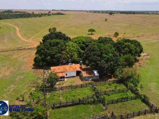 Venda em zona rural - São Miguel do Passa Quatro