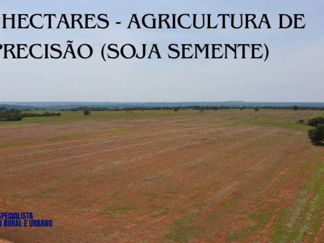 Fazenda para Venda em São Miguel do Passa Quatro - 5