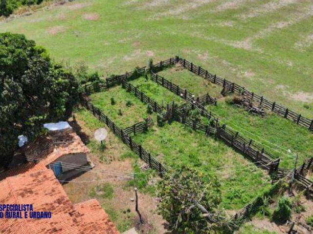 #3934 - Fazenda para Venda em São Miguel do Passa Quatro - GO