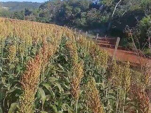 Fazenda para Venda em Rio Verde - 5