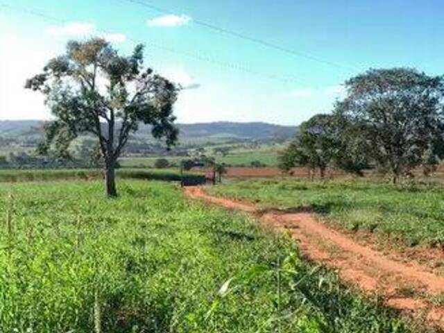 #3938 - Fazenda para Venda em Caturaí - GO