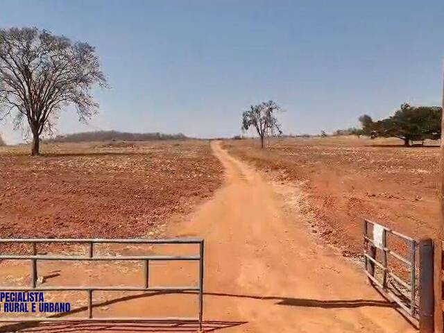 #3938 - Fazenda para Venda em Caturaí - GO