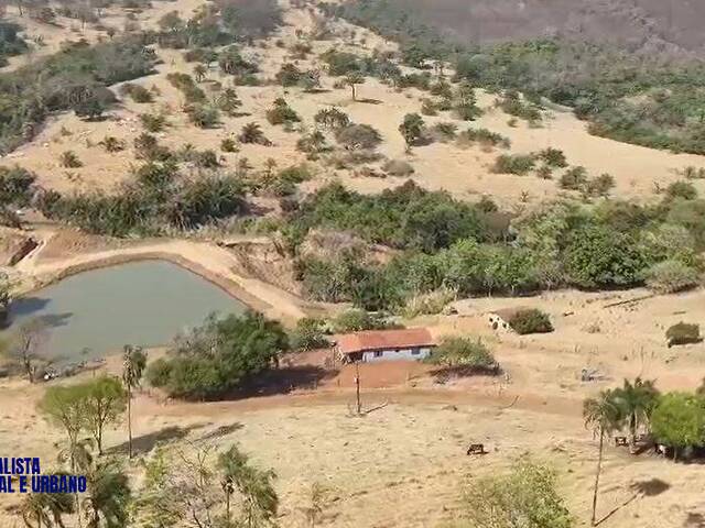 #3938 - Fazenda para Venda em Caturaí - GO