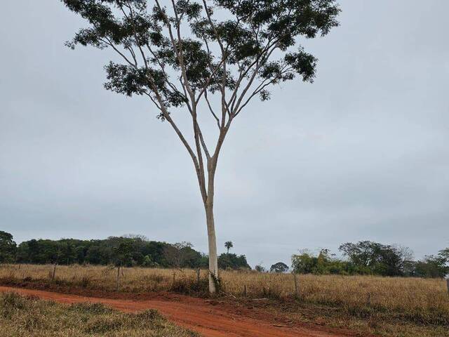 #3940 - Fazenda para Venda em Ituiutaba - MG