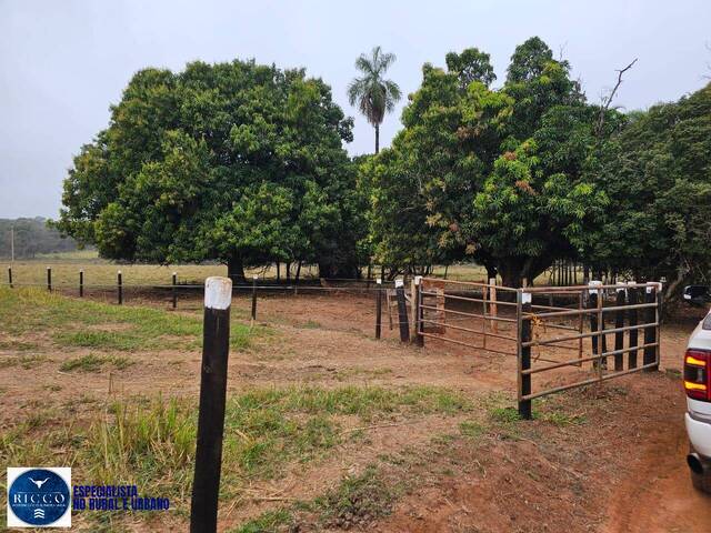 Fazenda para Venda em Ituiutaba - 5